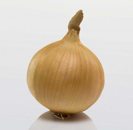 2819