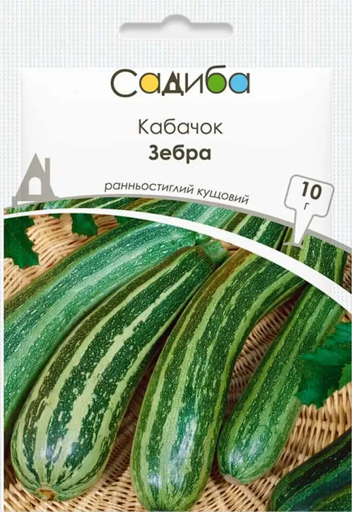 1055
