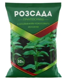 Розсада 20 л 0423 ТД Кіссон